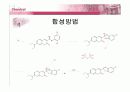 유기물 및 고분자설계 – Single Molecule 16페이지