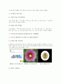 미술과 ICT(정보통신기술)활용교육의 의미와 필요성, 미술과 ICT(정보통신기술)활용교육의 교수학습모형, 미술과 ICT(정보통신기술)활용교육의 기자재활용과 색표현, 미술과 ICT(정보통신기술)활용교육의 과제 분석 5페이지