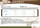 SK텔레콤인적자원관리 자료입니다. 11페이지