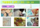 유아 미술활동의 실제 및 탐색과 표현 감상에 대한 모든것 PPT 4페이지