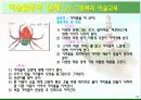 유아 미술활동의 실제 및 탐색과 표현 감상에 대한 모든것 PPT 16페이지