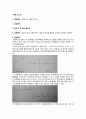 (일반화학실험) 나일론이야기 1페이지