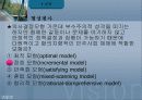 교육행정 정리와 문제(발표자료)(ppt) 40페이지