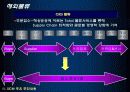 [산업공학 물류] 현대자동차 글로비스 SCM 혁신사례에 관한 보고서 20페이지