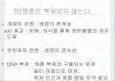 생명과학의 발전과 새로운 사회윤리에 대한 고찰 PPT 4페이지