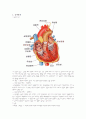 아동간호학 17장 정리 1페이지