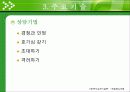 (사회복지실천기술론) 해결중심모델보고서 PPT, 해결중심모델 사례적용 12페이지