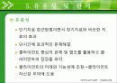 (사회복지실천기술론) 해결중심모델보고서 PPT, 해결중심모델 사례적용 30페이지