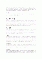 아니메의 제작과정 5페이지