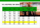 지구온난화 현상과 교토 의정서 (Kyoto Protocol) 에 대한 이해  12페이지