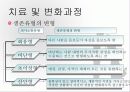 (사회복지실천기술론) 사티어 경험적가족치료이론 파워포인트 12페이지