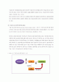 부동산 특수목적회사(Special Purpose Company)의 이해와 종류 8페이지