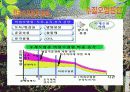 [A+ 완성]ppt 발표본 (수질오염과 해양오염에 대해서 )-환경오염원인- 6페이지