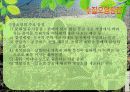 [A+ 완성]ppt 발표본 (수질오염과 해양오염에 대해서 )-환경오염원인- 7페이지