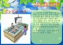 [A+ 완성]ppt 발표본 (수질오염과 해양오염에 대해서 )-환경오염원인- 21페이지