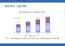 로얄케리비안 크루즈의 서비스 마케팅 12페이지