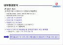 롯데칠성 외부, 내부 환경 분석(bcg,plc 곡선,bep계산,swot)등 ppt  16페이지