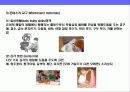 유아교육학자 몬테소리 & 죤 듀이의 교육철학의 이해 7페이지