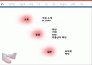 스프리스 공급사슬관리 SCM 2페이지