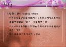 아동발달 03장 태내기 신생아기 발달 53페이지