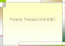 polarity therapy (극성요법) PPT발표자료 1페이지