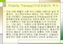 polarity therapy (극성요법) PPT발표자료 3페이지