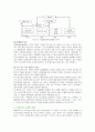 [수, 과학(수과학) 교육에 대한 각 학자들(피아제, 비고츠키(비고츠스키), 브루너, 가드너)의 이론 정리] 5페이지