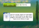 청소년집단상담 발표용 보고서(파워포인트, PPT, 템플릿, 프리젠테이션)  3페이지