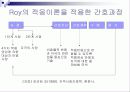 지역사회간호학 Roy 적응이론 16페이지