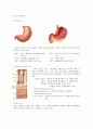 위암 Total gastrectomy(전체위절제술) case study 4페이지