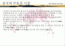 선전(심천) 투자 개황 15페이지