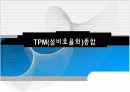 TPM(설비효율화)종합-설비보전 1페이지