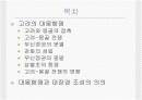 (한국사) 대몽항쟁과 팔만대장경 2페이지