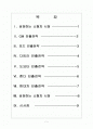 [소형차]소형차시장 성장과 글로벌 자동차 업체들의 진출전략 -도요타,GM,포드,혼다,다임러,현대 2페이지