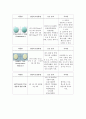 CASE STUDY-대퇴골두 무혈성 괴사증  13페이지