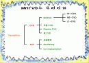 MOCVD 공정(Metal Organic Chemical Vapor Deposition) 3페이지