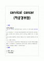 cervical cancer(자궁경부암)case study 1페이지