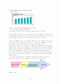 이랜드 ERP 연구 3페이지