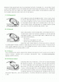 자연분만 문헌고찰 2페이지