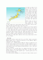 습지와 람사협약, 국내외 사례 비교 분석 및 관리, 보존 대책 20페이지