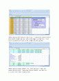 etex를 이용한 경제사례분석 41페이지