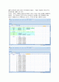 etex를 이용한 경제사례분석 42페이지