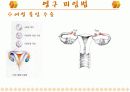 [여성학/성심리학] 피임에 관한 오해와 진실에 관한 편견과 과거와 현대 피임방법 소개 37페이지