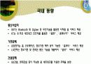 [정보론A+] 홈네트워크서비스 등장배경과 원리기술설명 및 필요성과 미래방안 고찰 8페이지