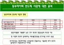 [재무관리A+] 동부건설 기업소개와 재무상태 문제점 분석 및 동부하이텍 반도체사업 분석  18페이지