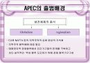[국제기구A+]  APEC(아시아태평양경제협력체)출범배경과 특징/활동 및 우리나라와의 관계  4페이지