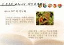 [교육학A+] 루소 에밀 내용정리와 에밀에 나타나는 교육사상 한계 및 자연주의 교육의 실제 사례분석  15페이지