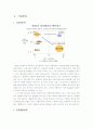 [경영학A+] 일본전문여행사 여행박사를 통한 경영전략 및 여행사성공요인 분석 17페이지