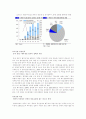 현대자동차 베이징 진출사례 연구 5페이지