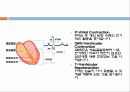 기본 심전도의 이해 9페이지